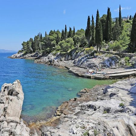Apartments By The Sea Trpanj, Peljesac - 257 Kültér fotó