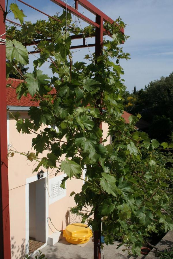 Apartments By The Sea Trpanj, Peljesac - 257 Kültér fotó